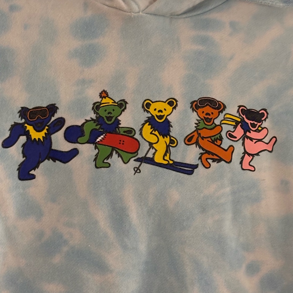 Teton Gravity Research x Grateful Dead sweatshirt